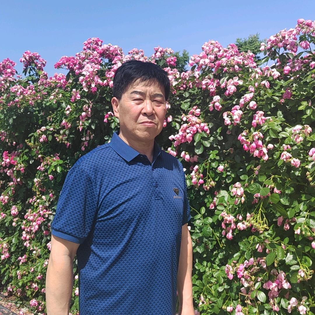 缘不了的梦
