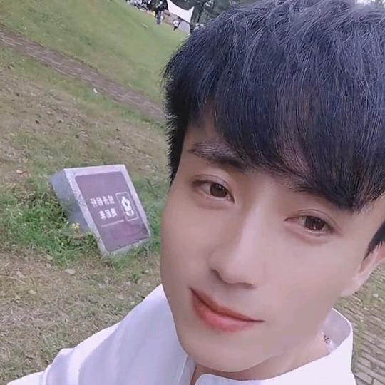 许我半盏清茶
