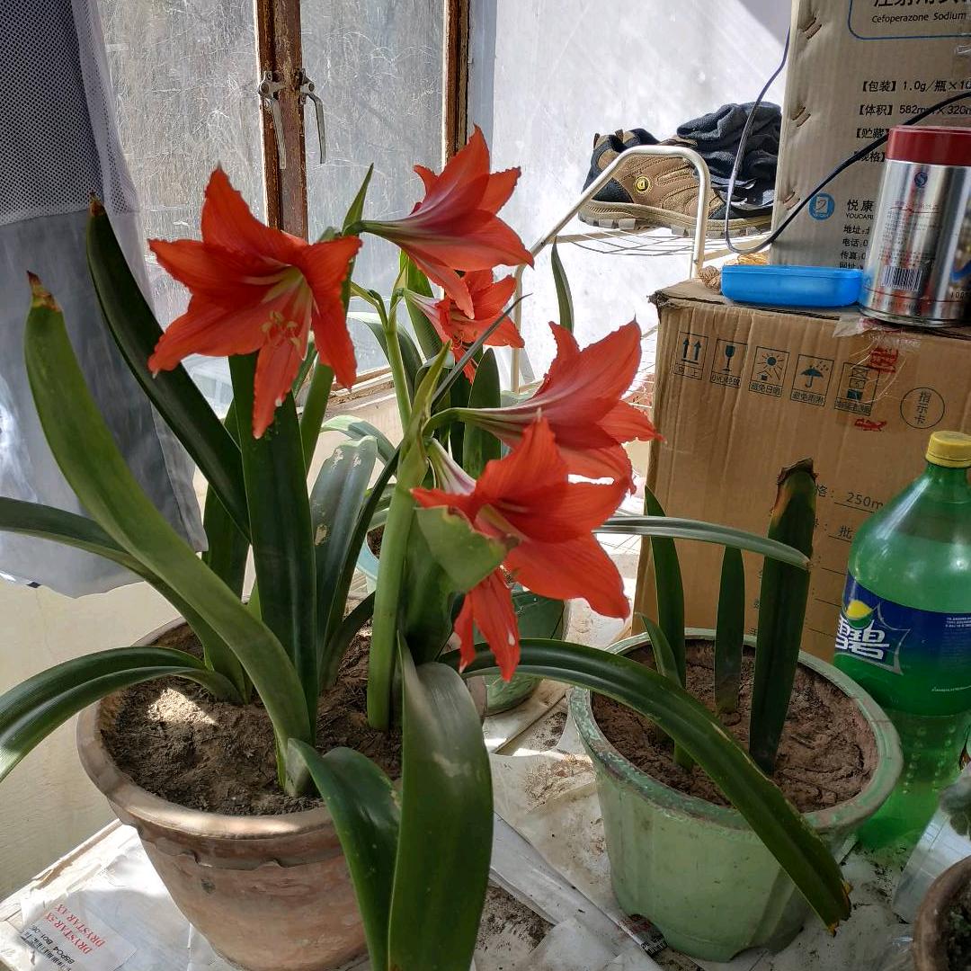 电子电脑爱好者