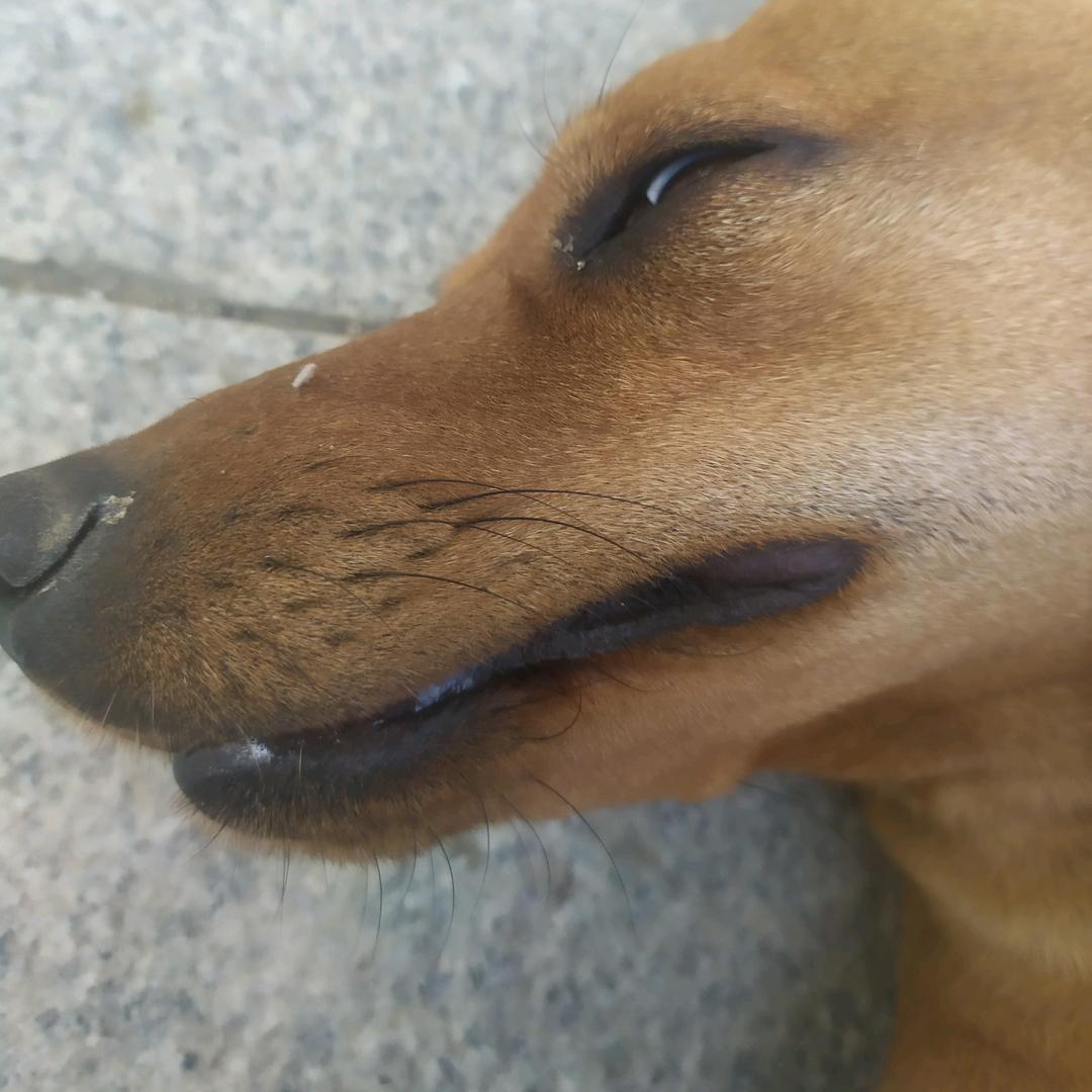 书刊
