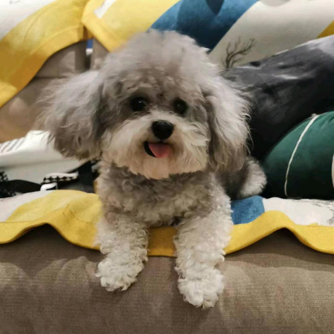 🌈🌈🌈大洛洛