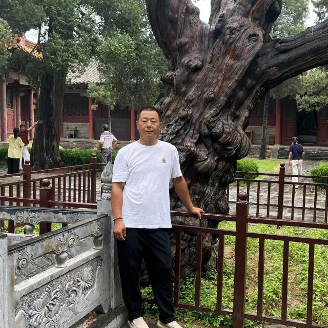 阳光