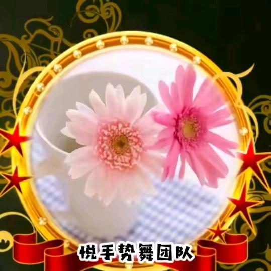 鸿运当头拒绝私聊