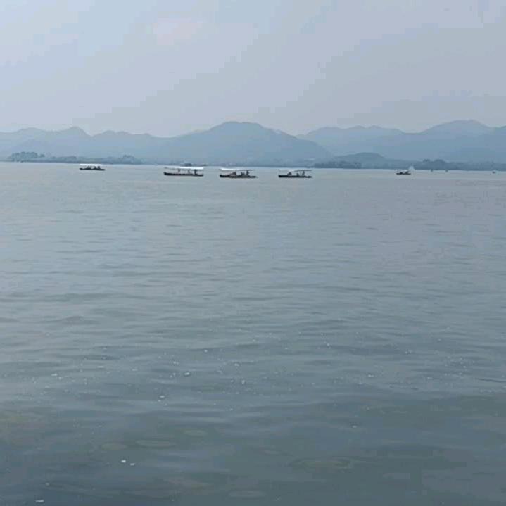 我的视野