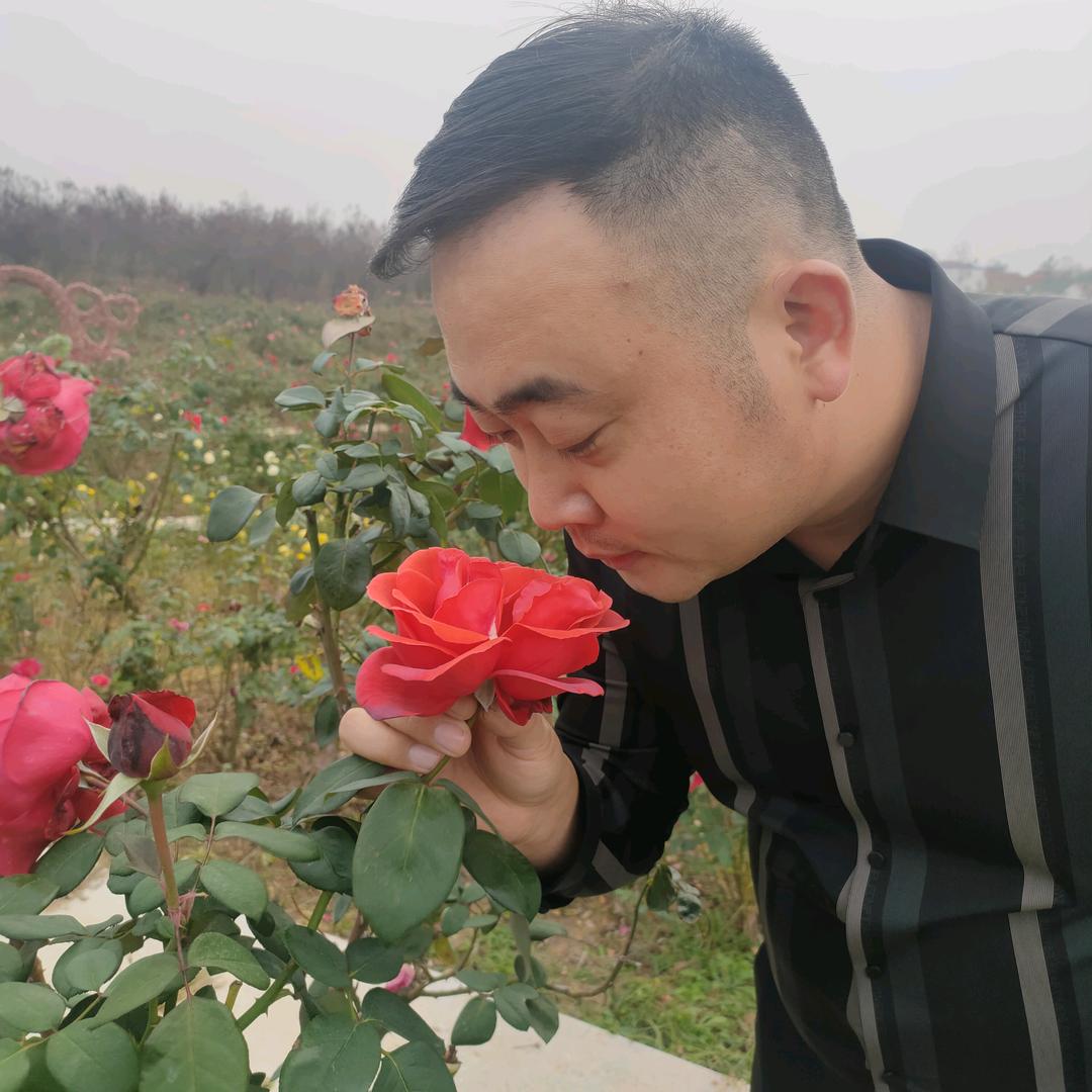 洪立