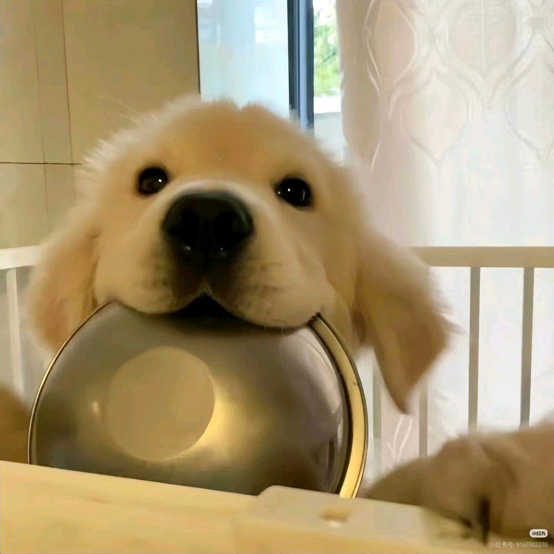 煮面吃