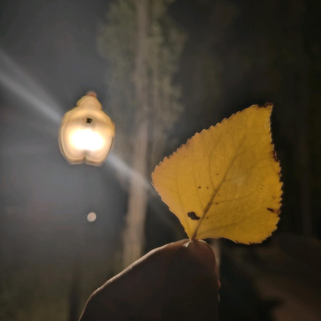 拾年