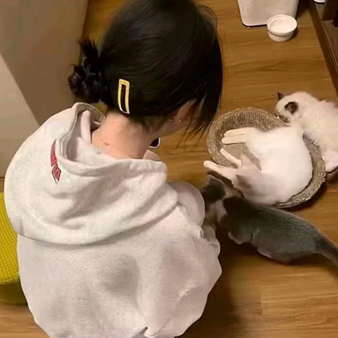 〇