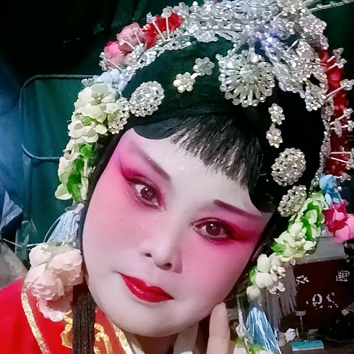 河南豫剧小凤