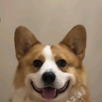 元气森林挺好喝