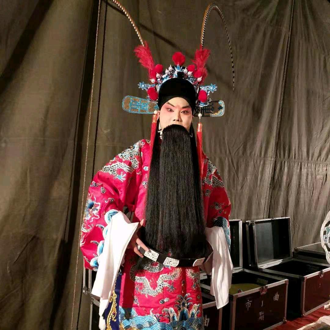 河南曲剧郑金辉