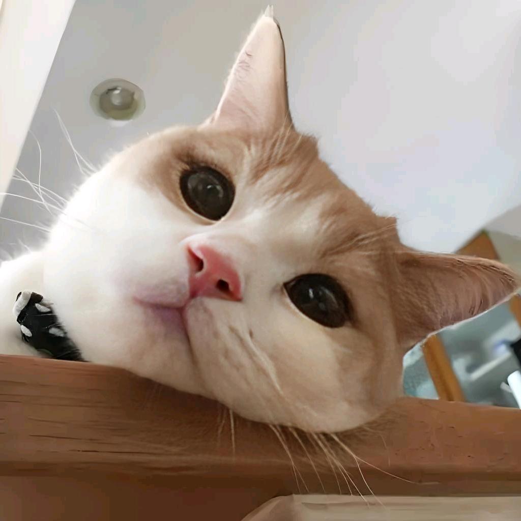 嘟嘟吖