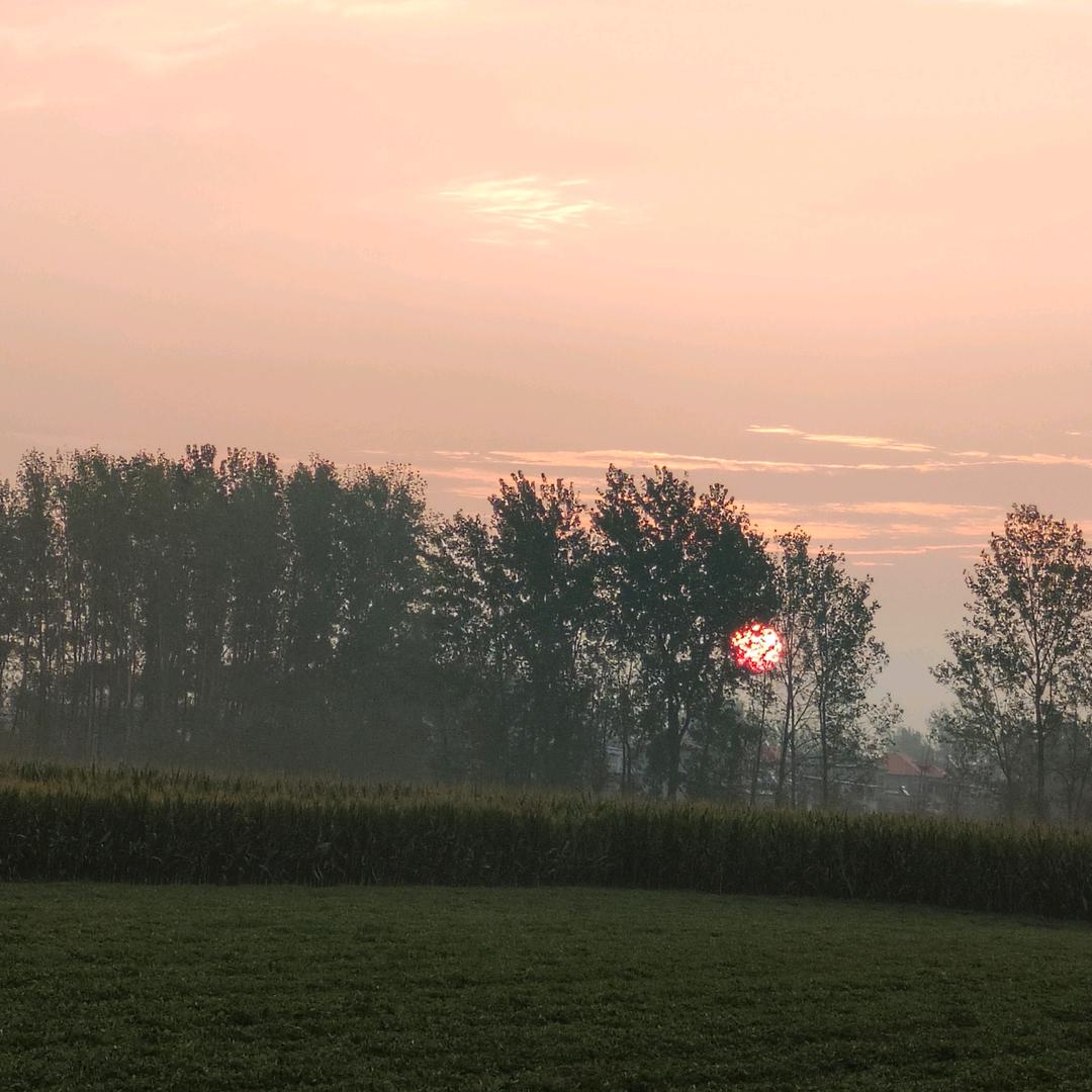 🥭雨落心尘❤️
