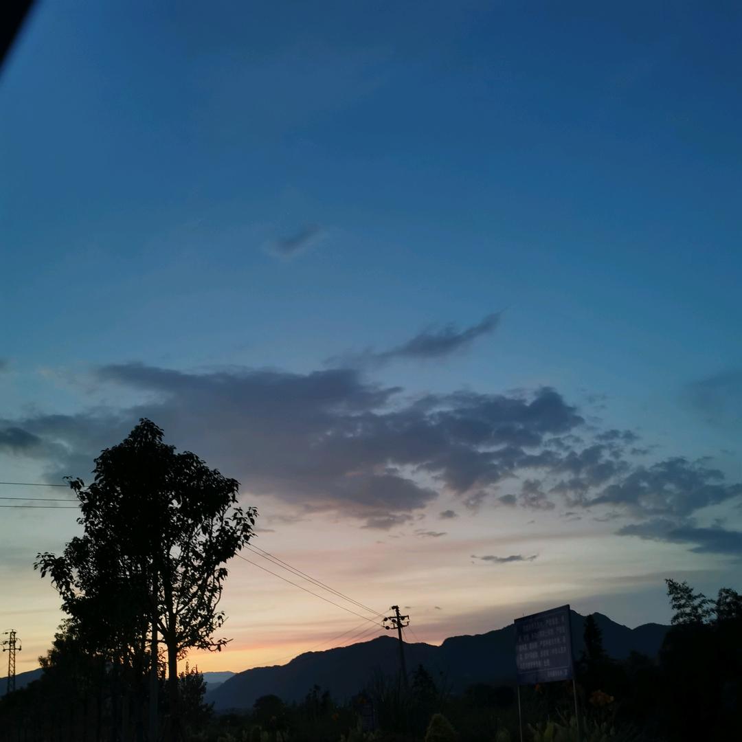 乡野小狗狗@抖音