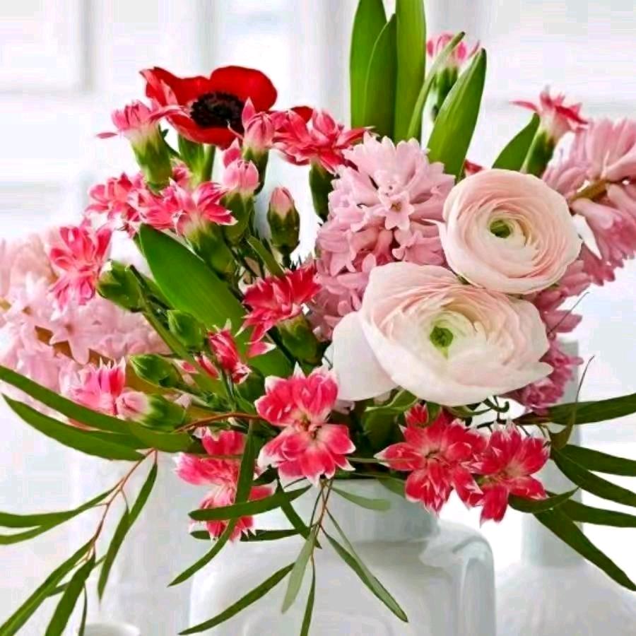 好心情🌺小万🌺