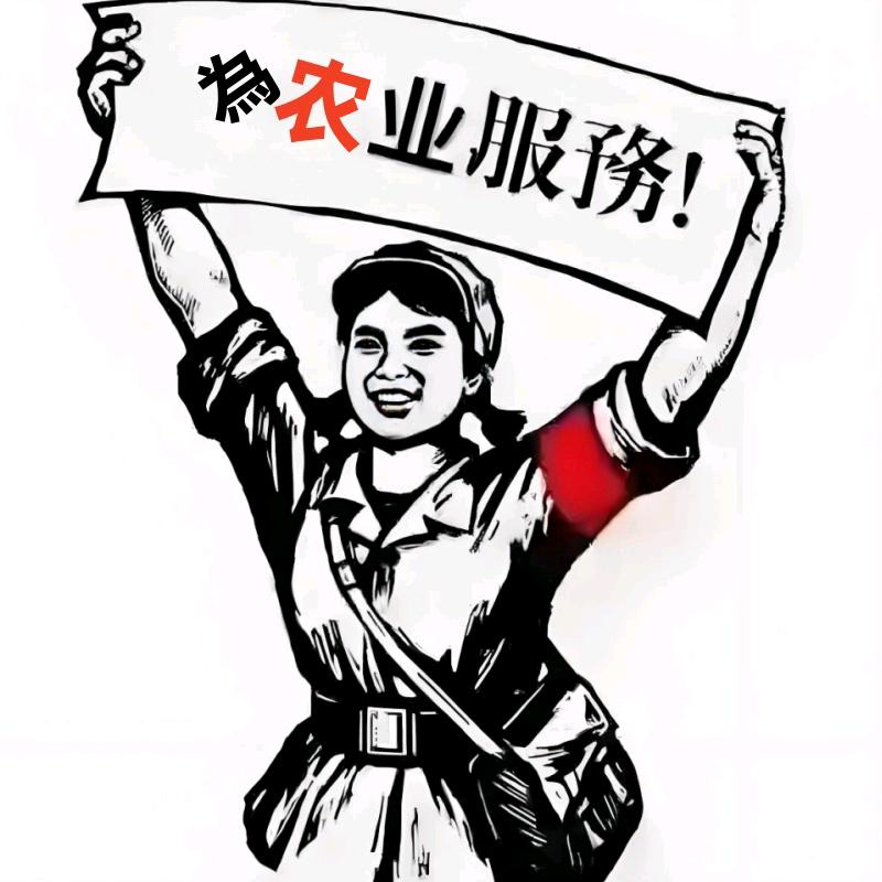 九之洋农业田间那些事儿