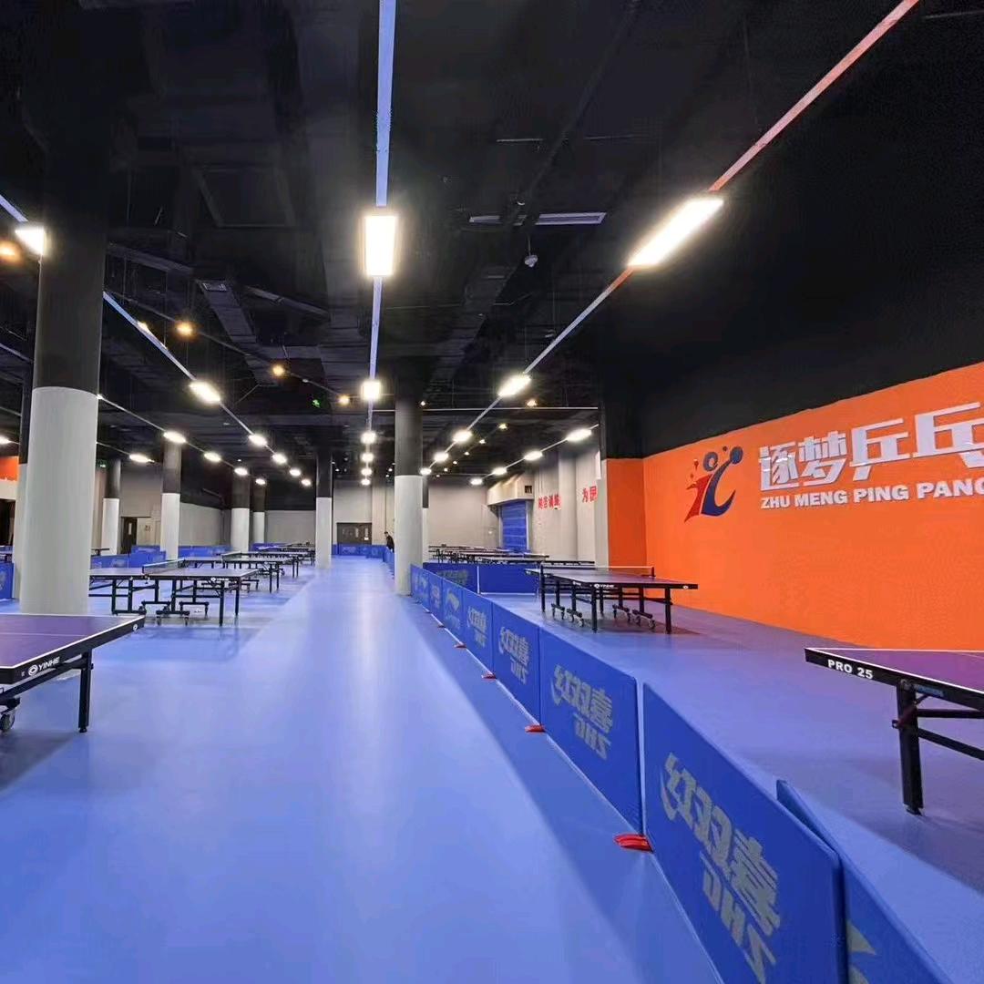 逐梦乒乓陈教练