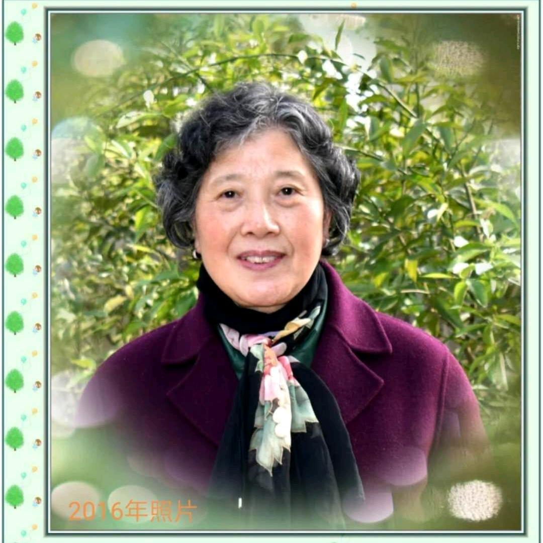 腊月的梅花