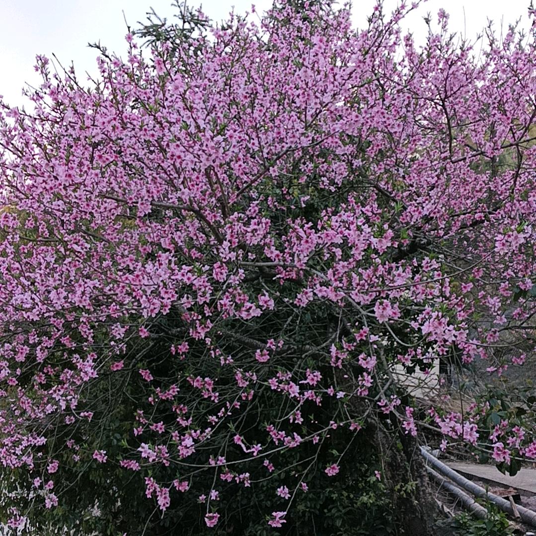80后的大哥
