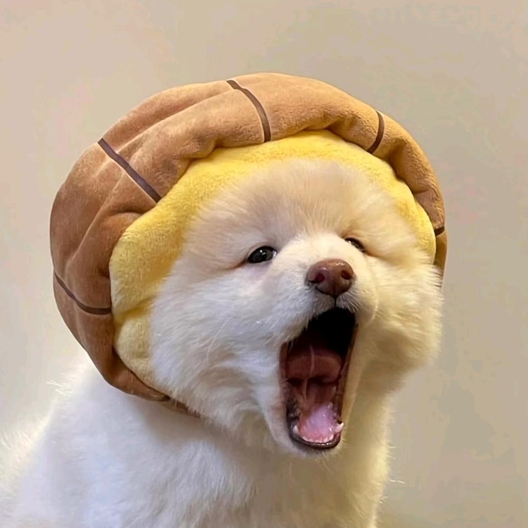 OiOi