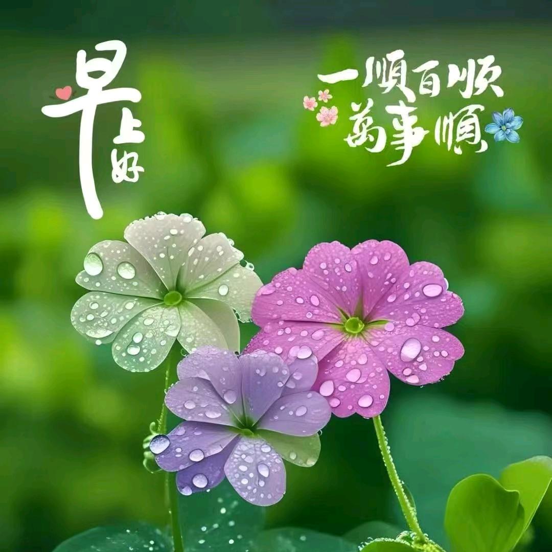 妹妹的额娘