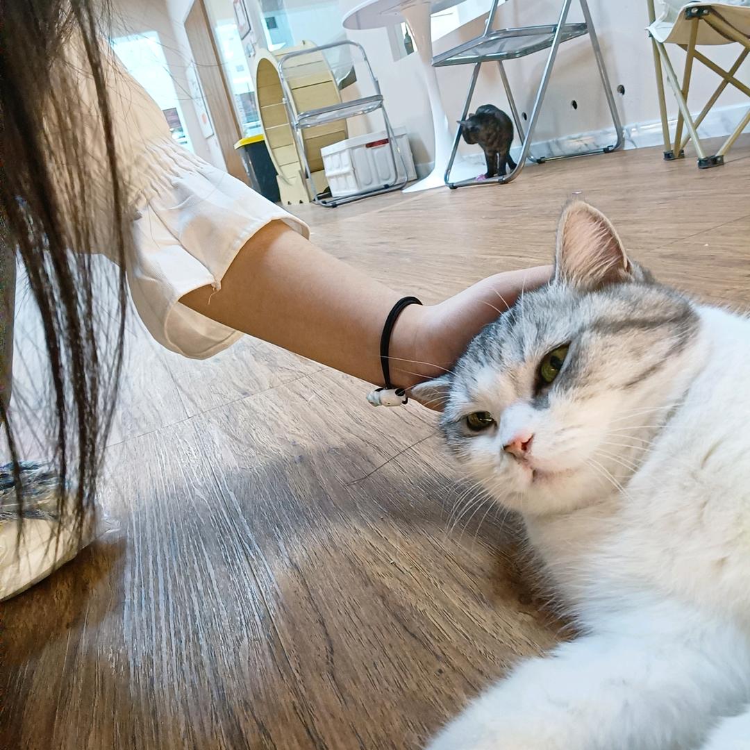 🌷哦耶
