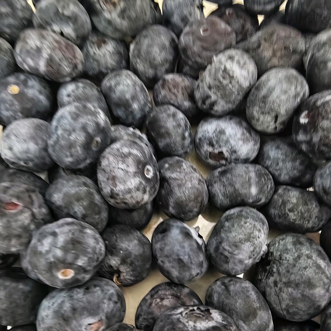 用户（不存在）