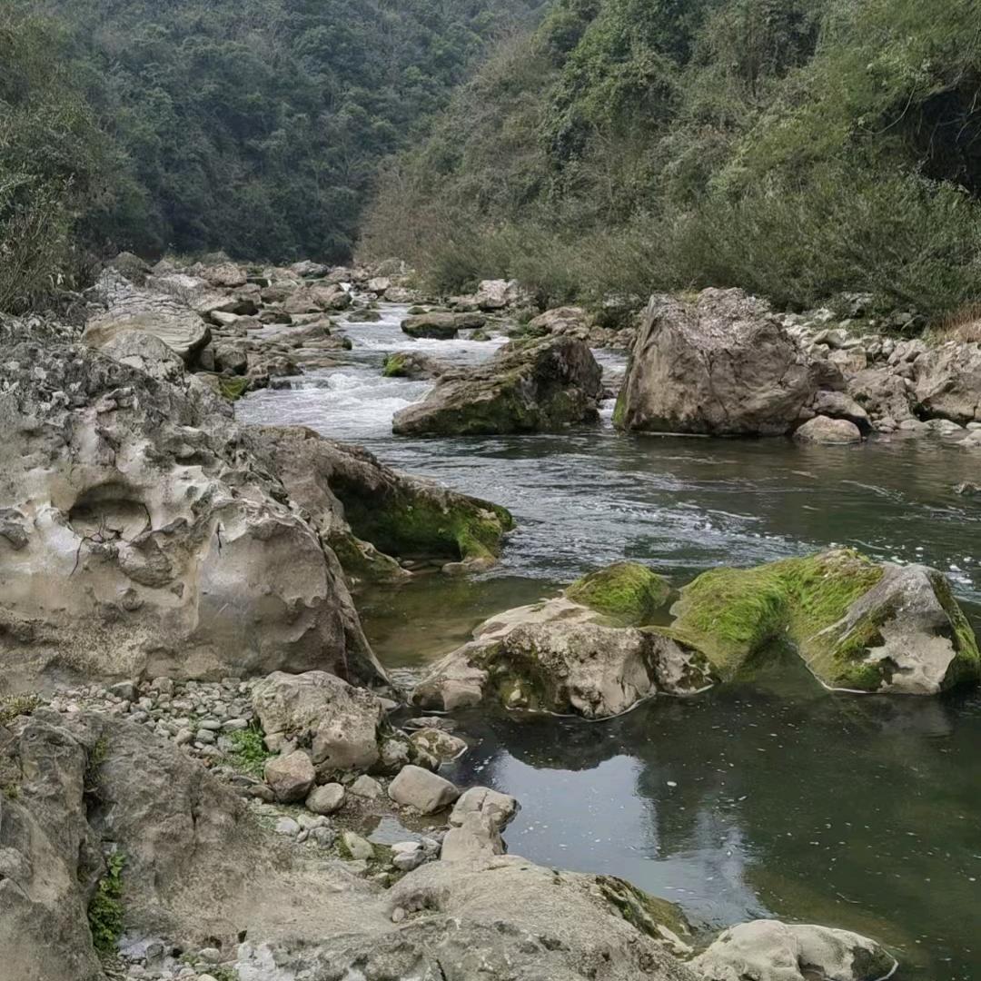 如果爱可以重来285