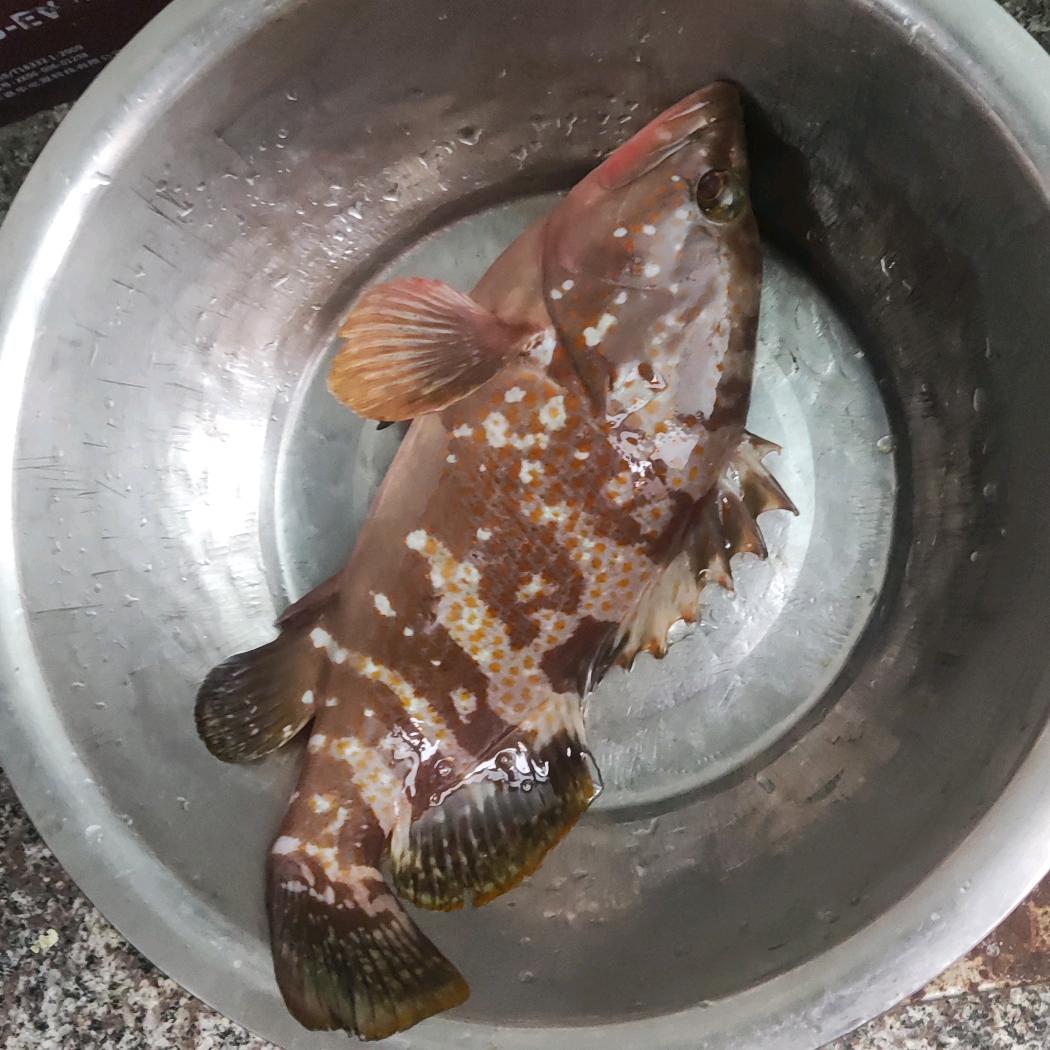 近海海钓-  จุ๊บ阿彬哥