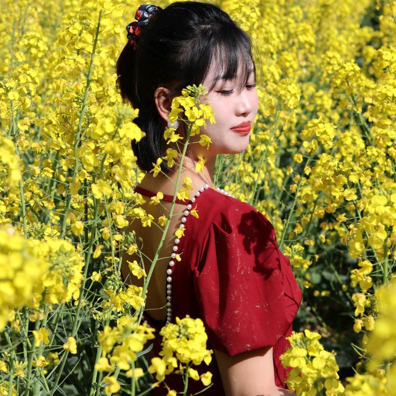 美丽芳华（忽骚扰）