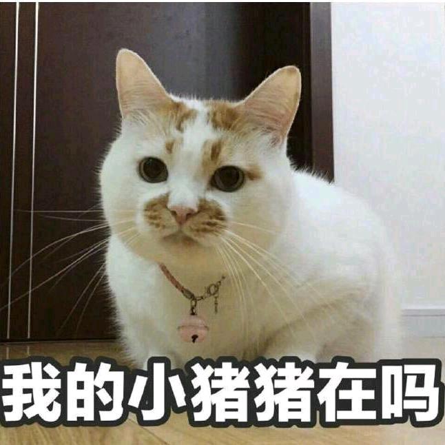 玄魅集团的白老爷子头像