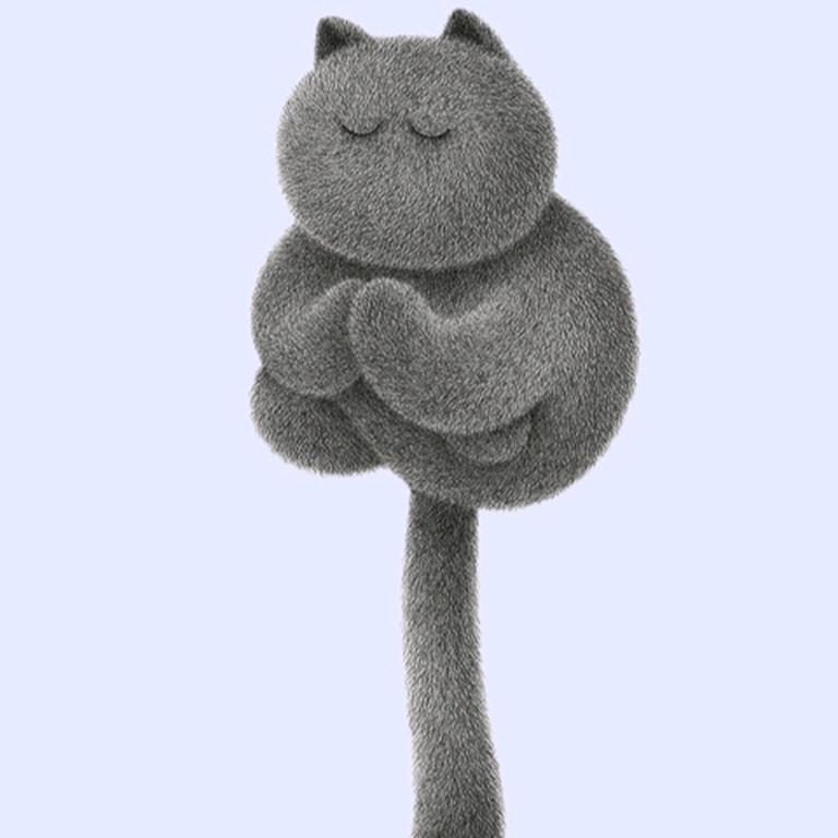 ㅤ ㅤ ㅤ ㅤ ㅤ ㅤ ㅤ