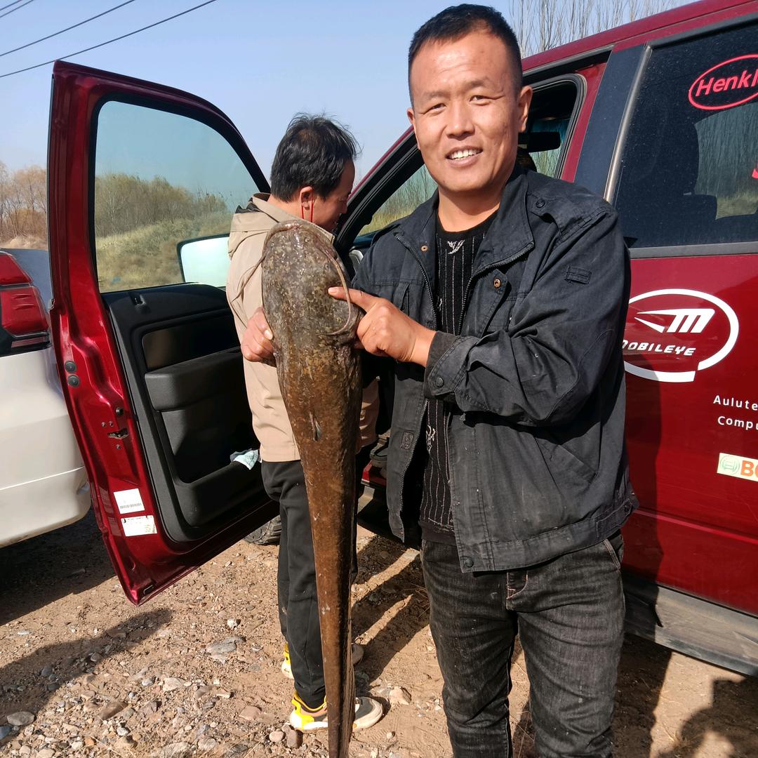 内蒙古志博二手车有限公司