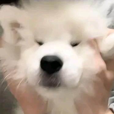 凡人
