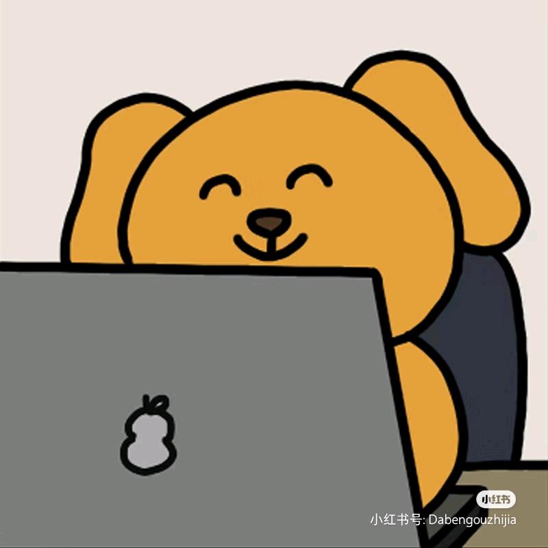 段鱼鱼