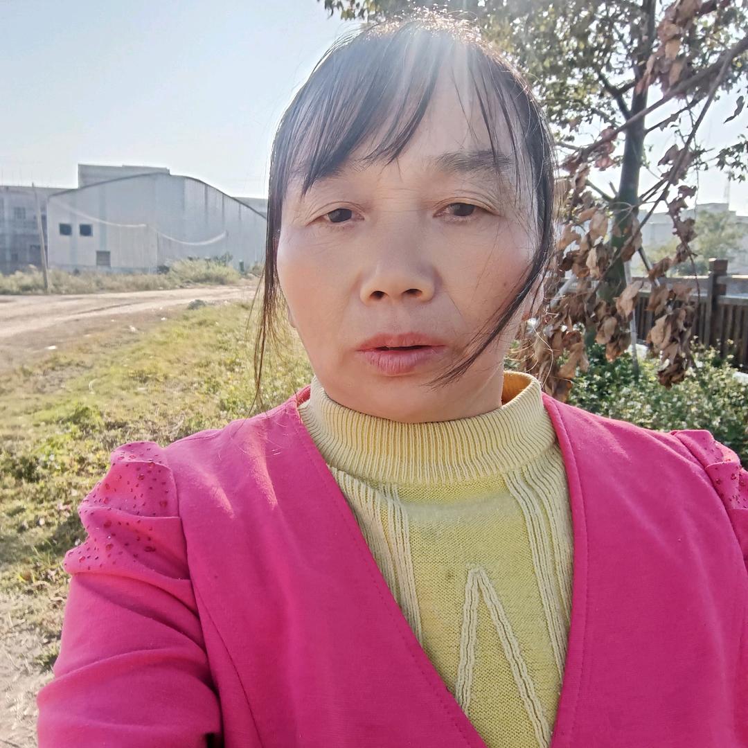 单身姐