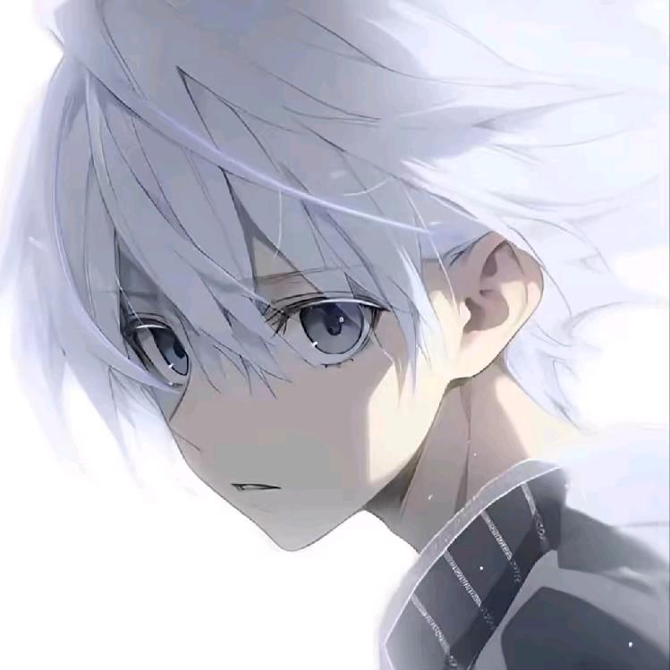 棉杨咩™