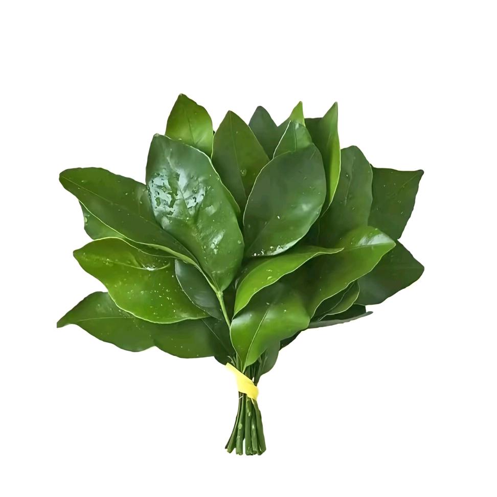 小羊咩咩