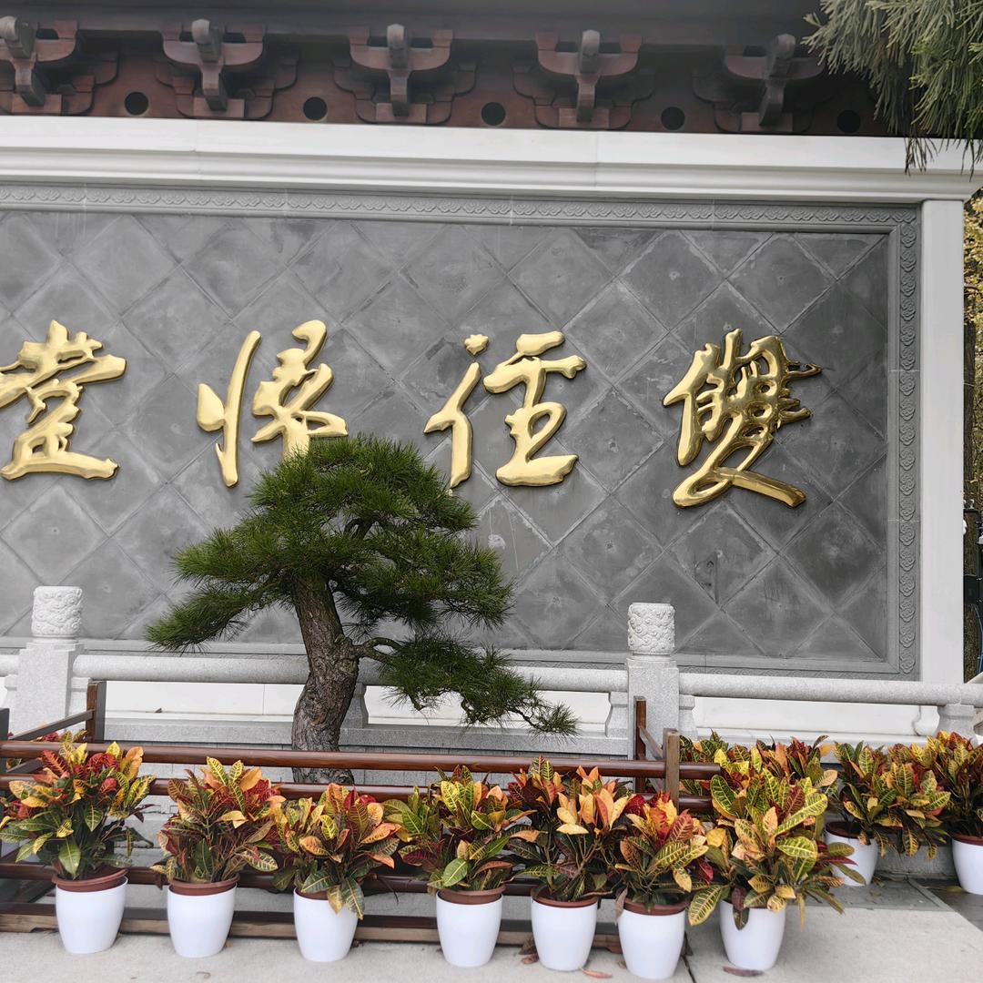 杭州巨彩服饰