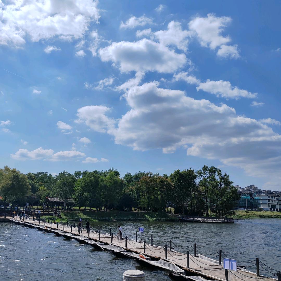 风平浪静的小鱼