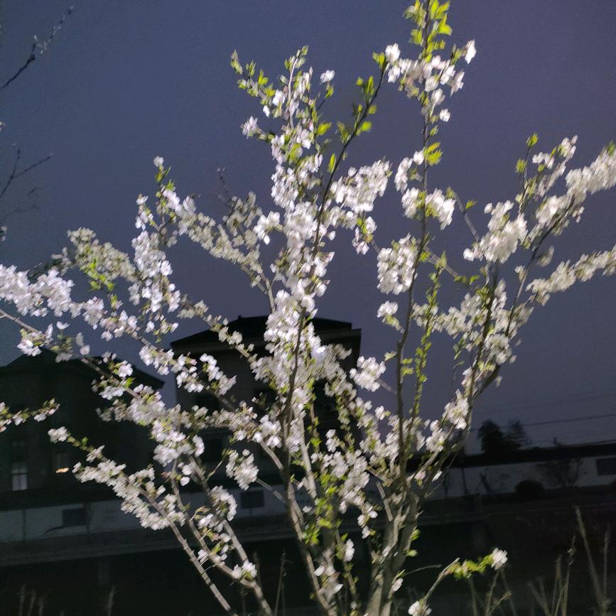 缘分