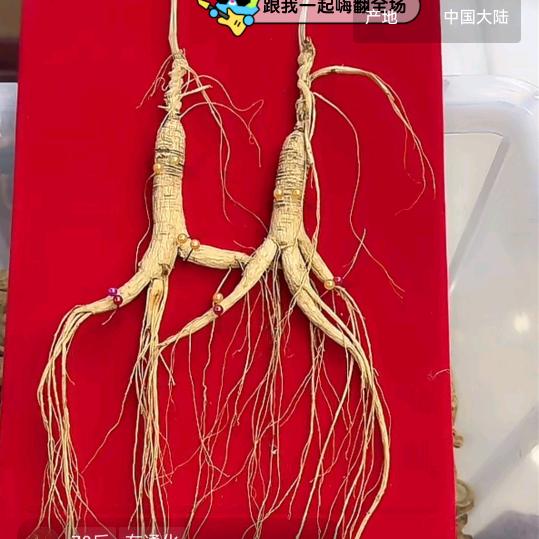 收心哥