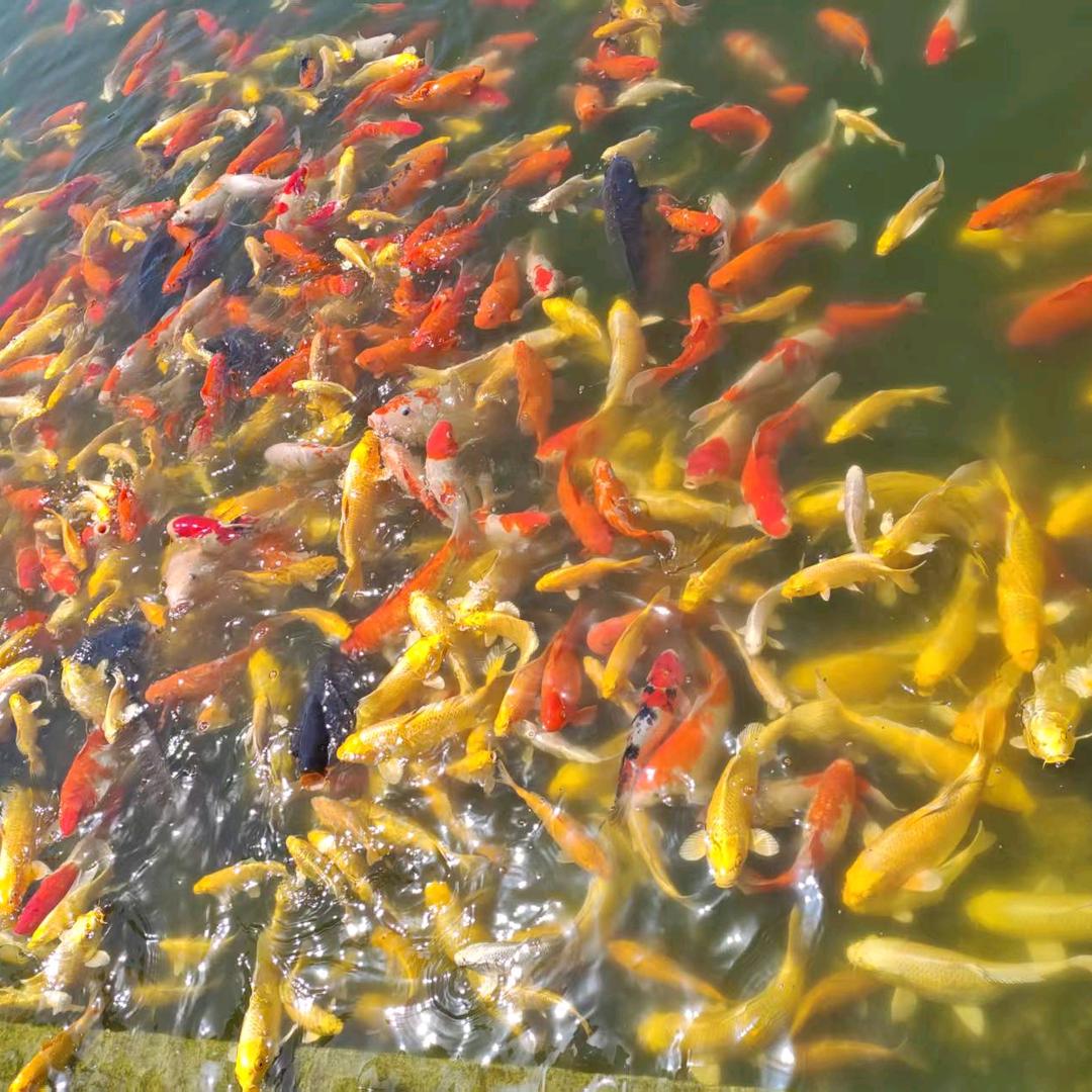 像风一样的男人