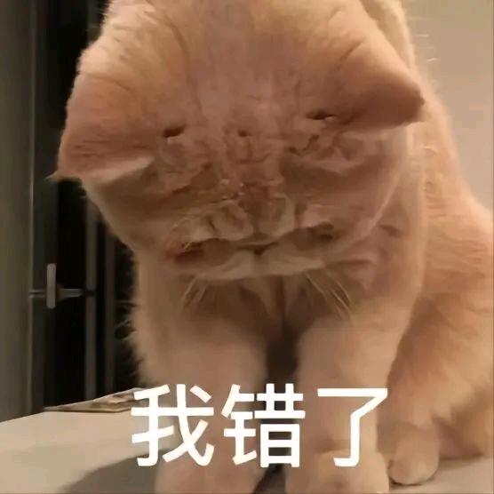 时间是旅客