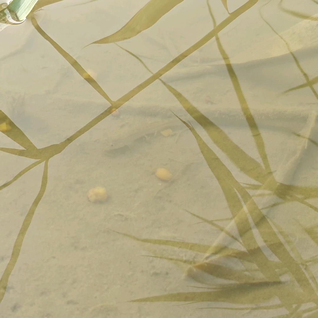 星陈大海6421518357639陈