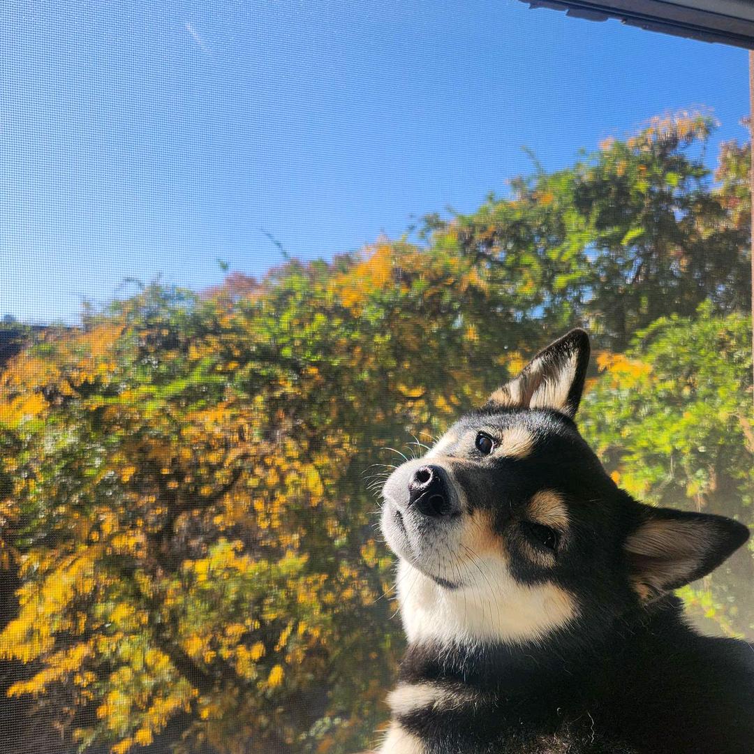 追上时代的小橙