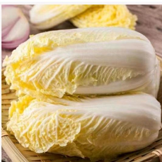 kkk19头像