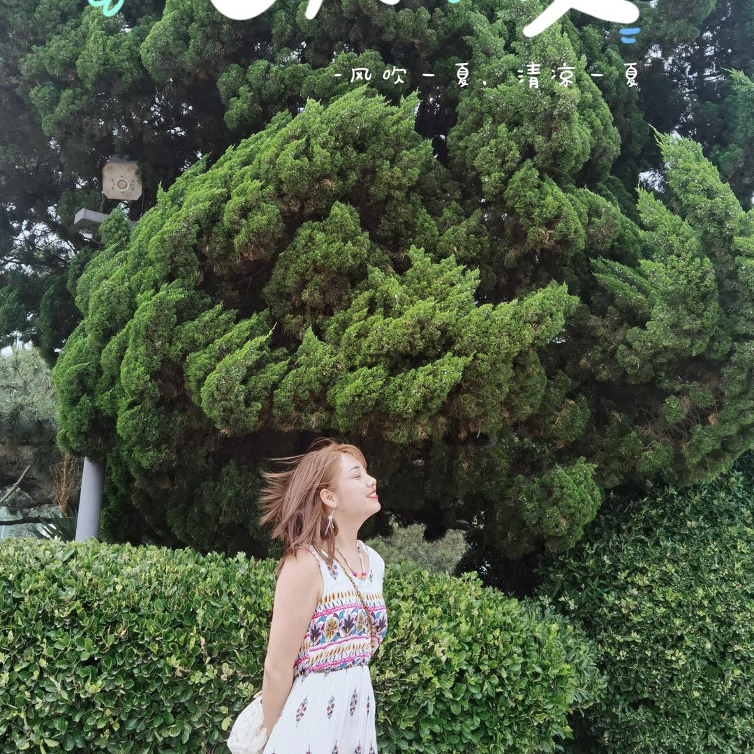 🌸莎❣️莎🌸
