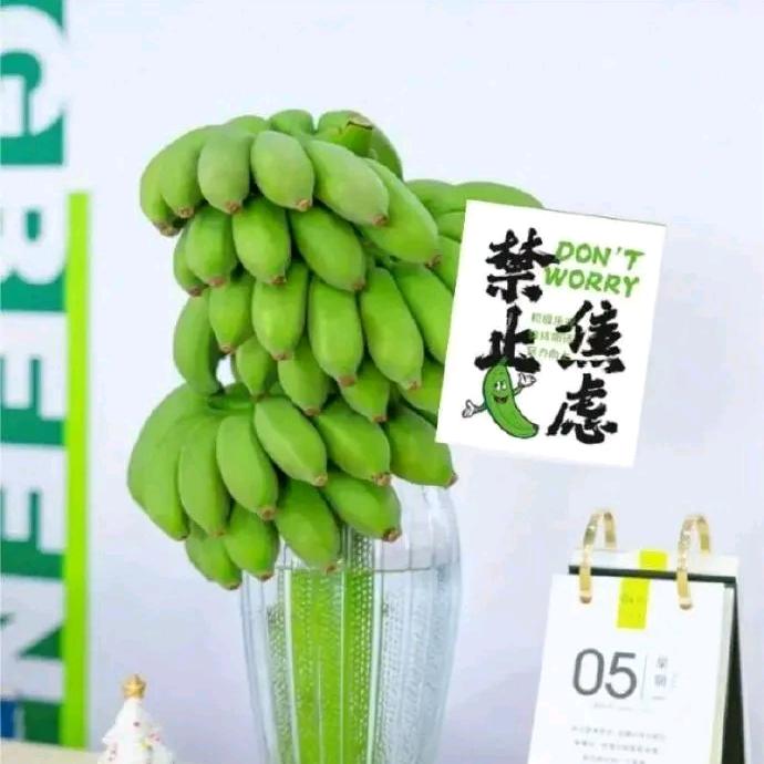 赢上
