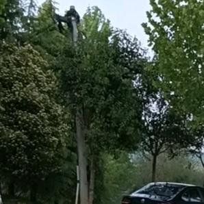 …✨💫黑牡丹xkf